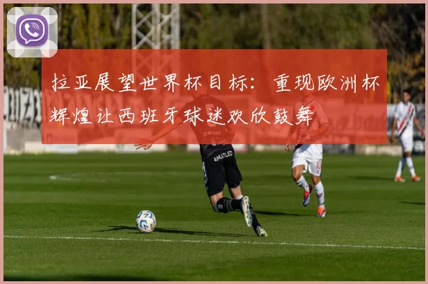拉亚展望世界杯目标：重现欧洲杯辉煌让西班牙球迷欢欣鼓舞