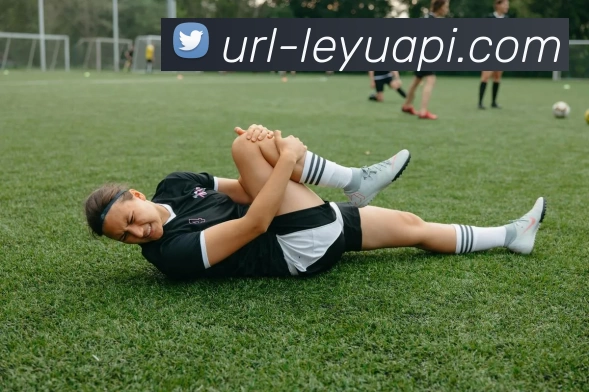 乐鱼体育APP 封面图